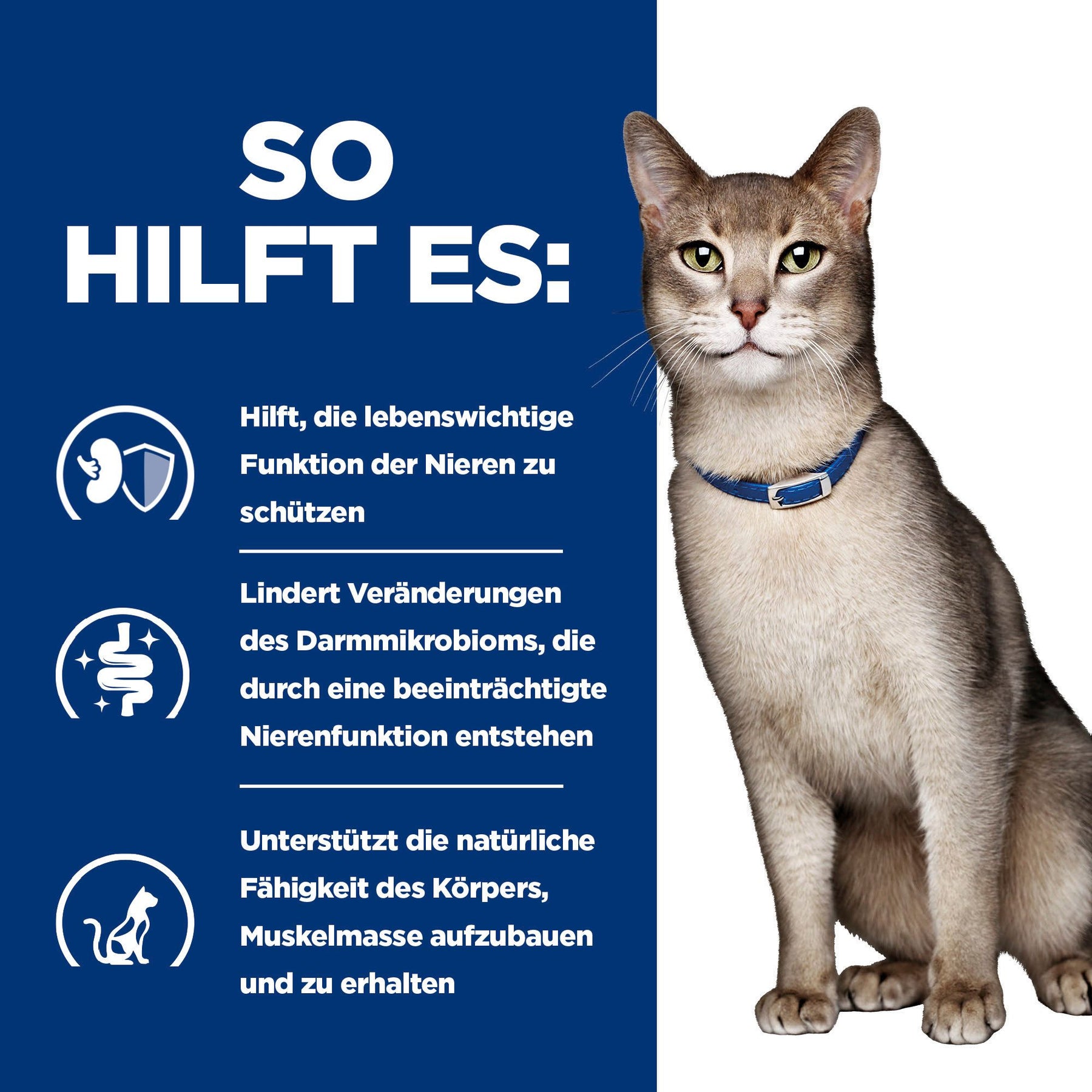 Hill's Prescription Diet k/d Ragout für Katzen mit Huhn und zugefügtem Gemüse