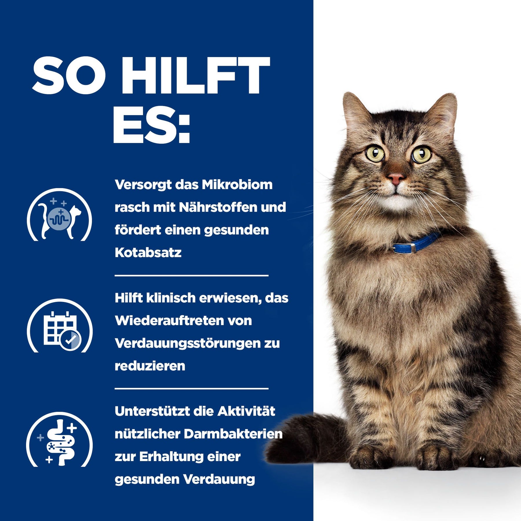 Hill's PRESCRIPTION DIET Gastrointestinal Biome Aliment pour Chat