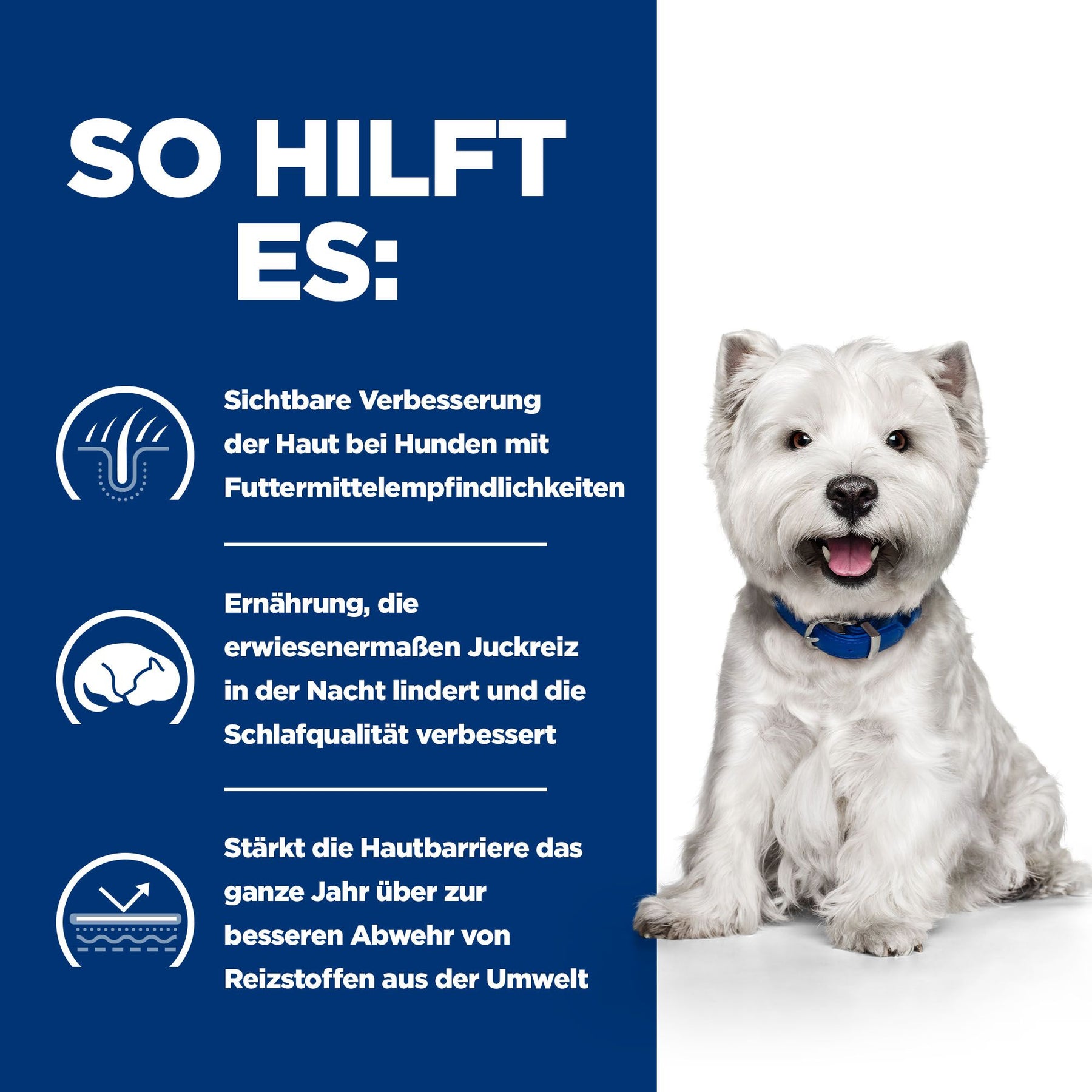 Hill's Prescription Diet Derm Complete Mini Hundefutter mit Ei