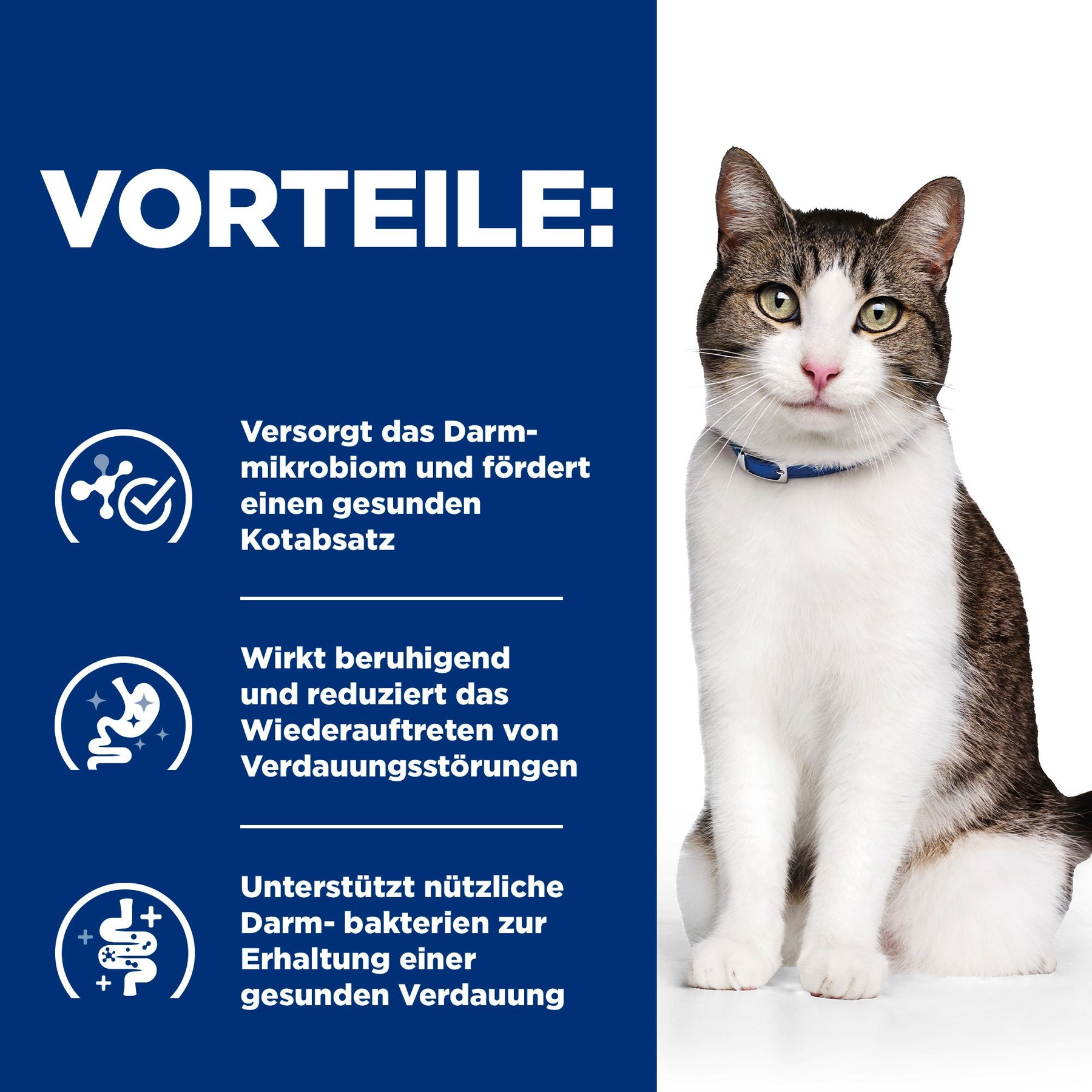 Hill's Prescription Diet Gastrointestinal Biome Stress - Croquettes pour Chat - au Poulet