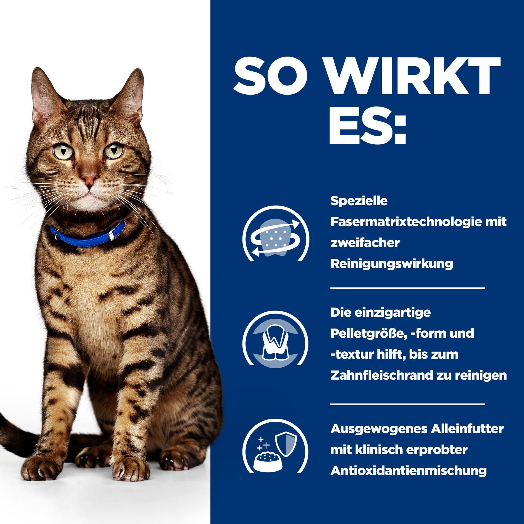 Hill's Prescription Diet t/d Aliment pour Chat