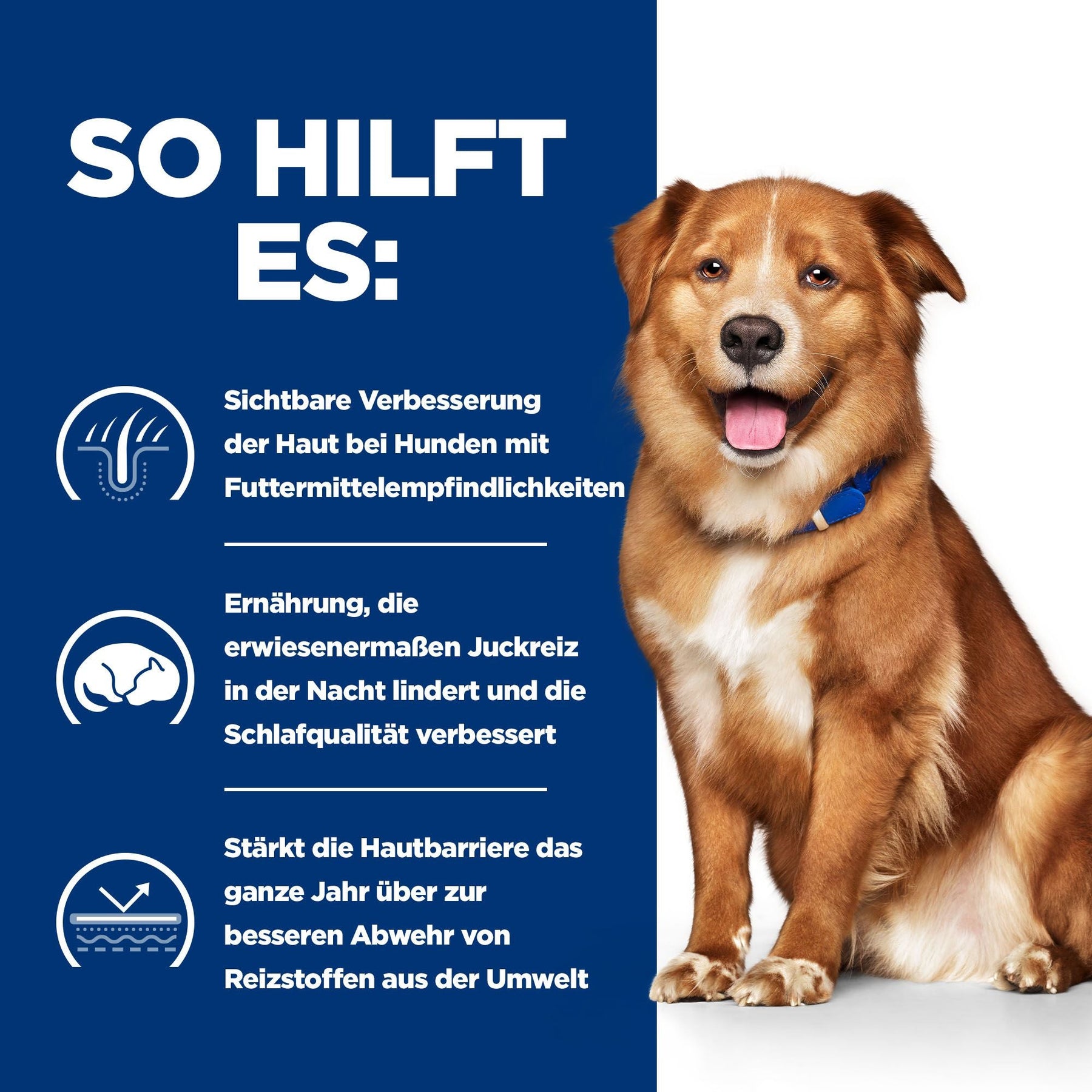 Hill's Prescription Diet Derm Complete Hundefutter mit Ei