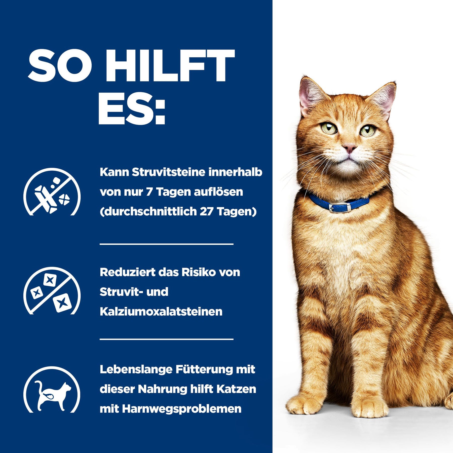 Hill's Prescription Diet c/d Multicare Katzenfutter mit Lachs