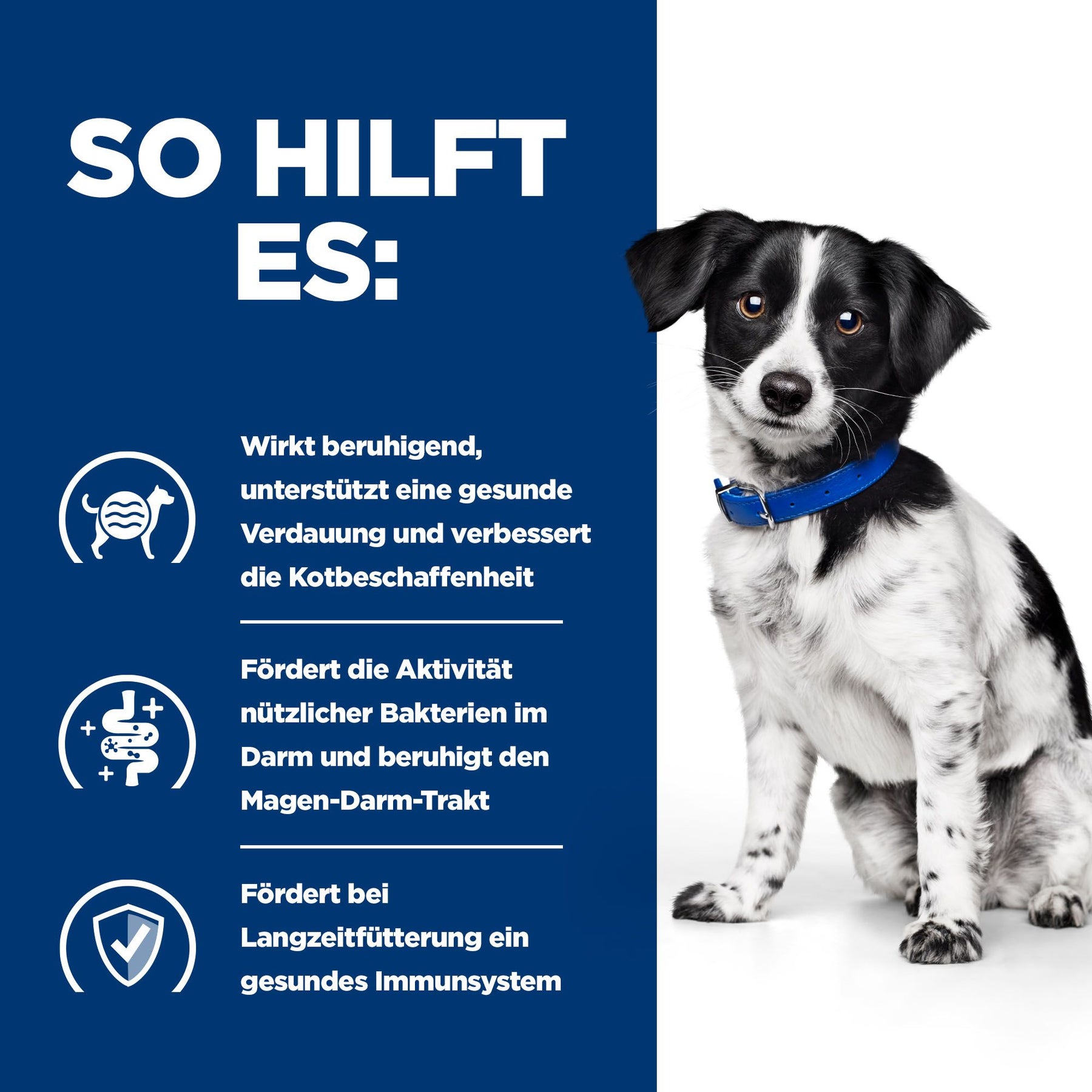 Hill's Prescription Diet i/d Stress Mini Mijotés pour Chien