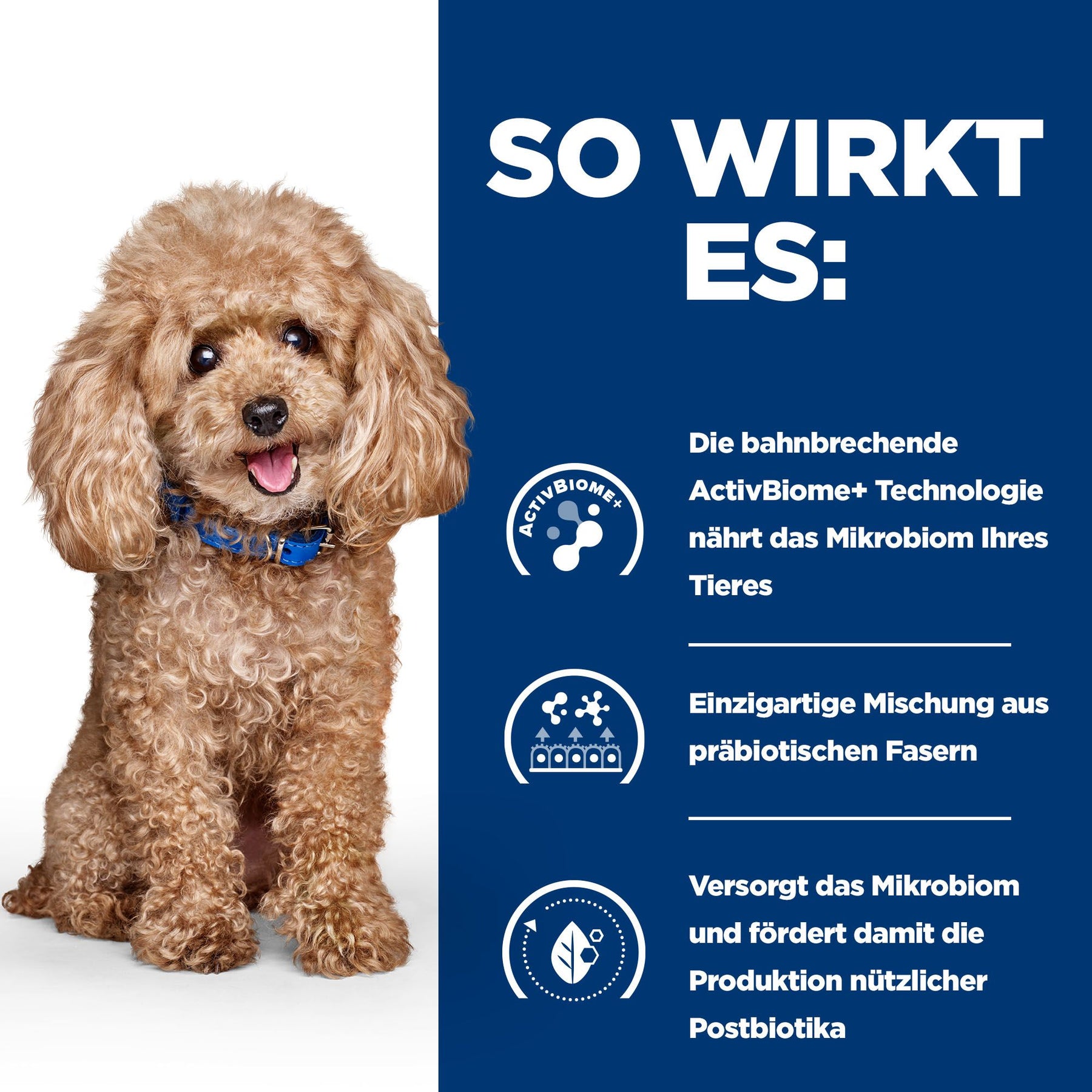 Hill's Prescription Diet Gastrointestinal Biome Mini Hundefutter mit Huhn