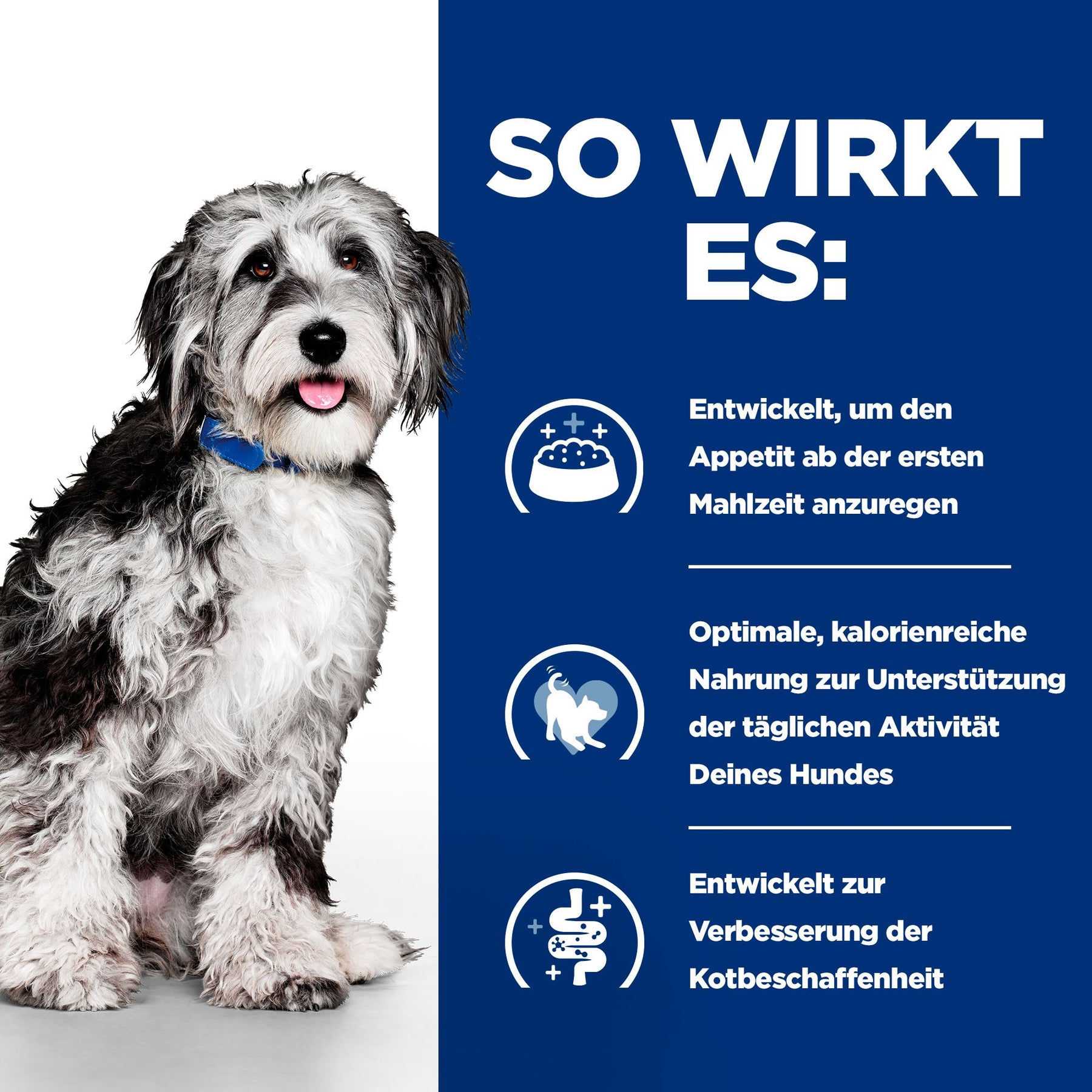Hill's Prescription Diet On-Care Ragout für Hunde mit Huhn und zugefügtem Gemüse