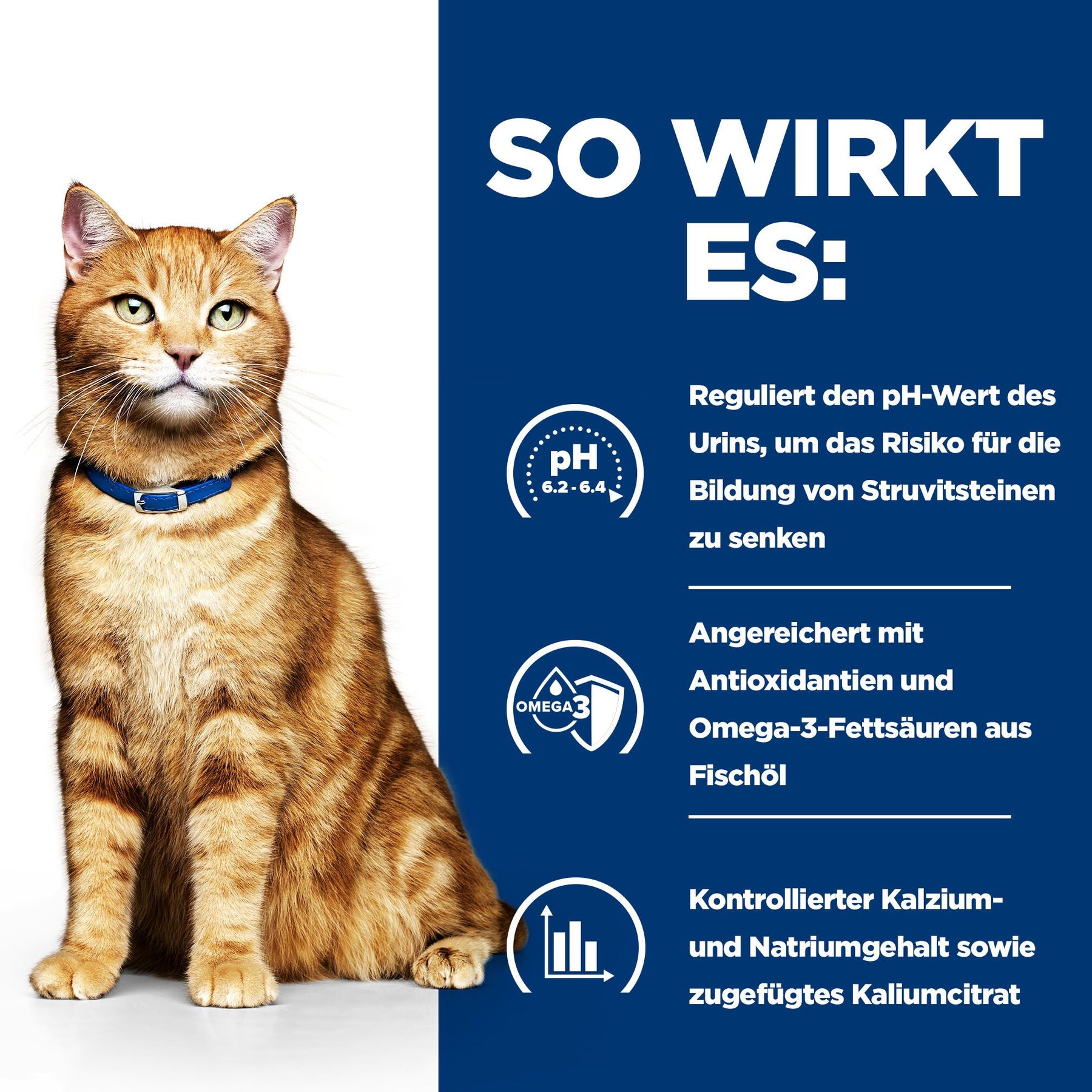 Hill's Prescription Diet c/d Multicare Katzenfutter mit Huhn