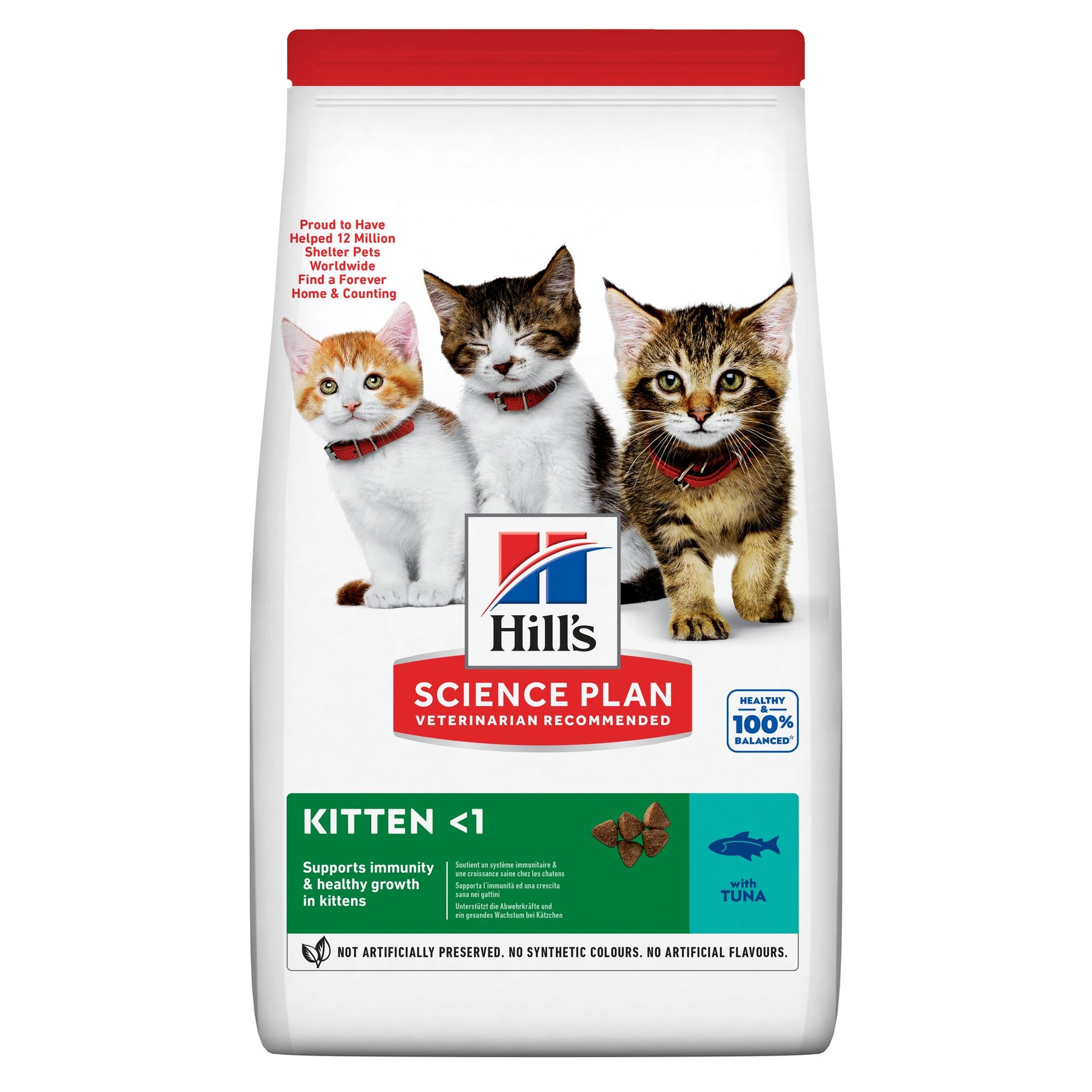 Hill's Science Plan Kitten Kätzchenfutter mit Lachs