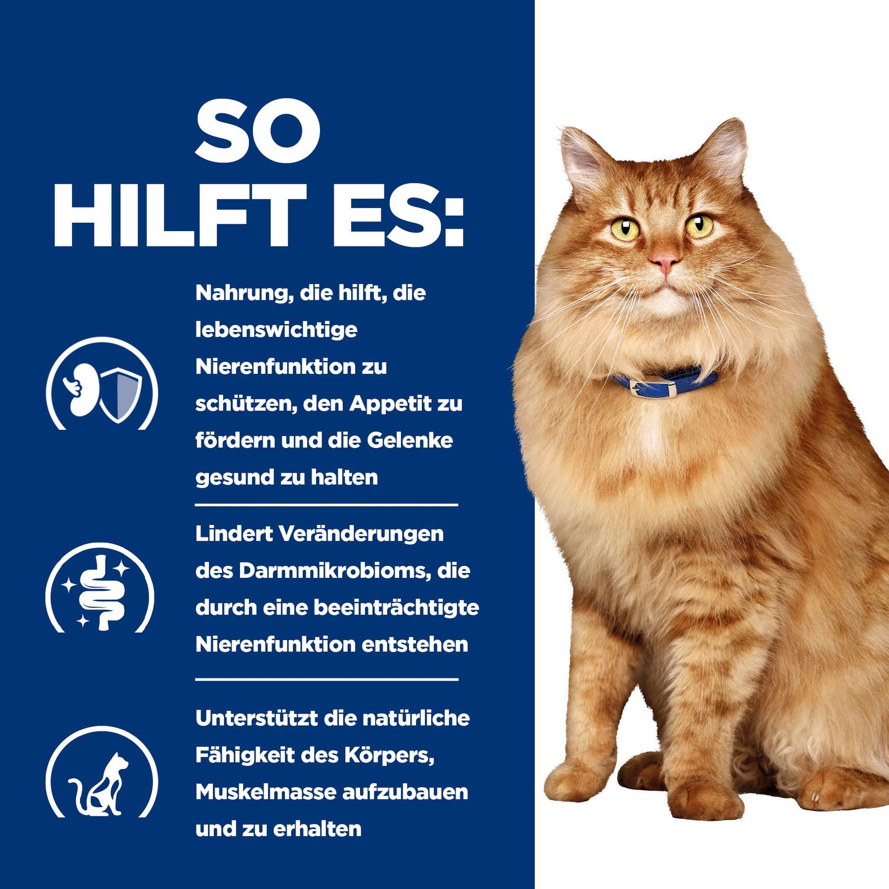Hill’s Prescription Diet k/d + Mobility Croquettes pour Chat au Poulet