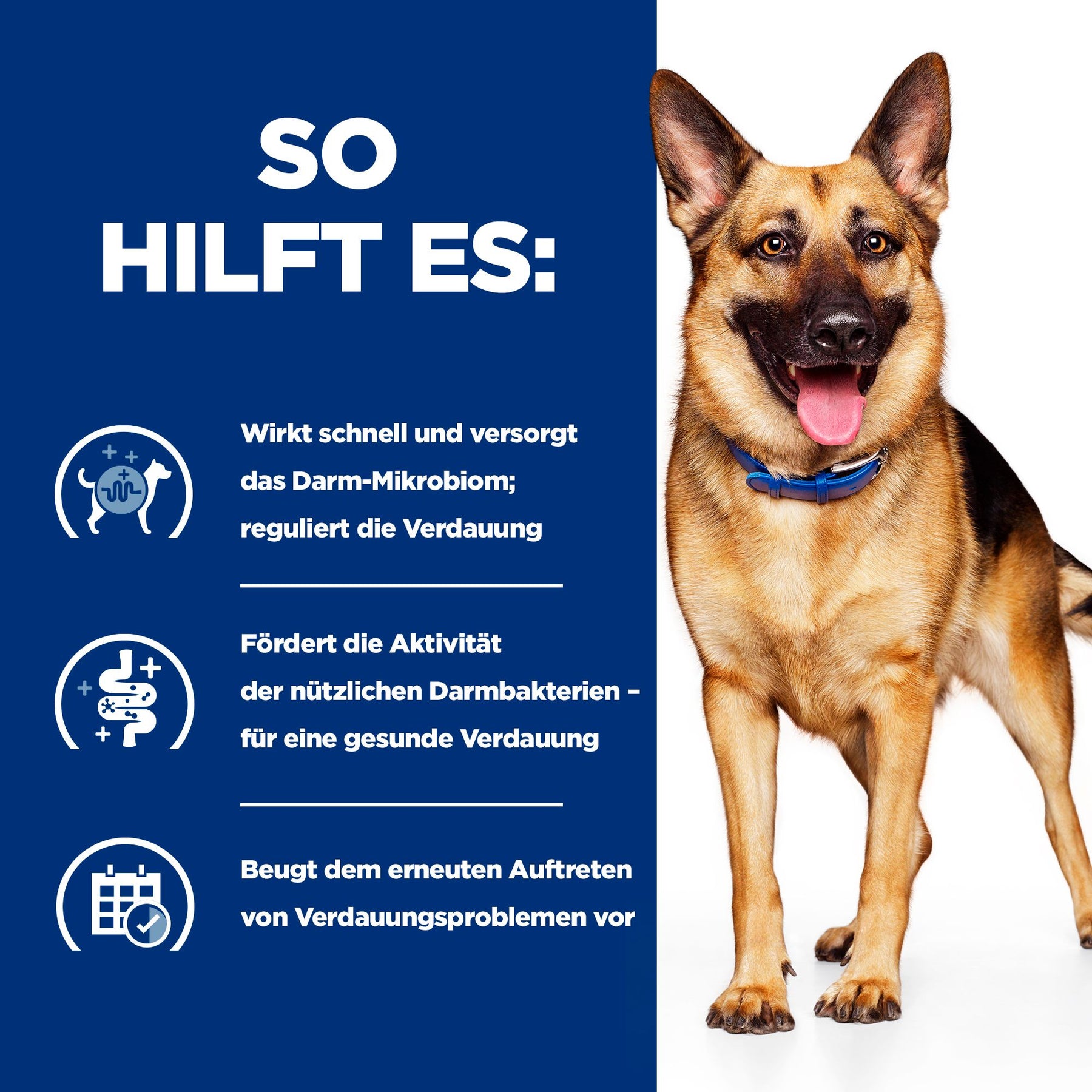 Hill's PRESCRIPTION DIET Gastrointestinal Biome Pâtée pour Chien au Poulet