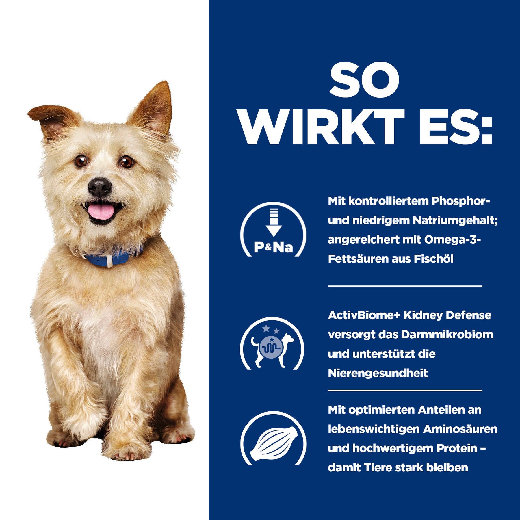 Hill's Prescription Diet k/d Pâtée pour Chien