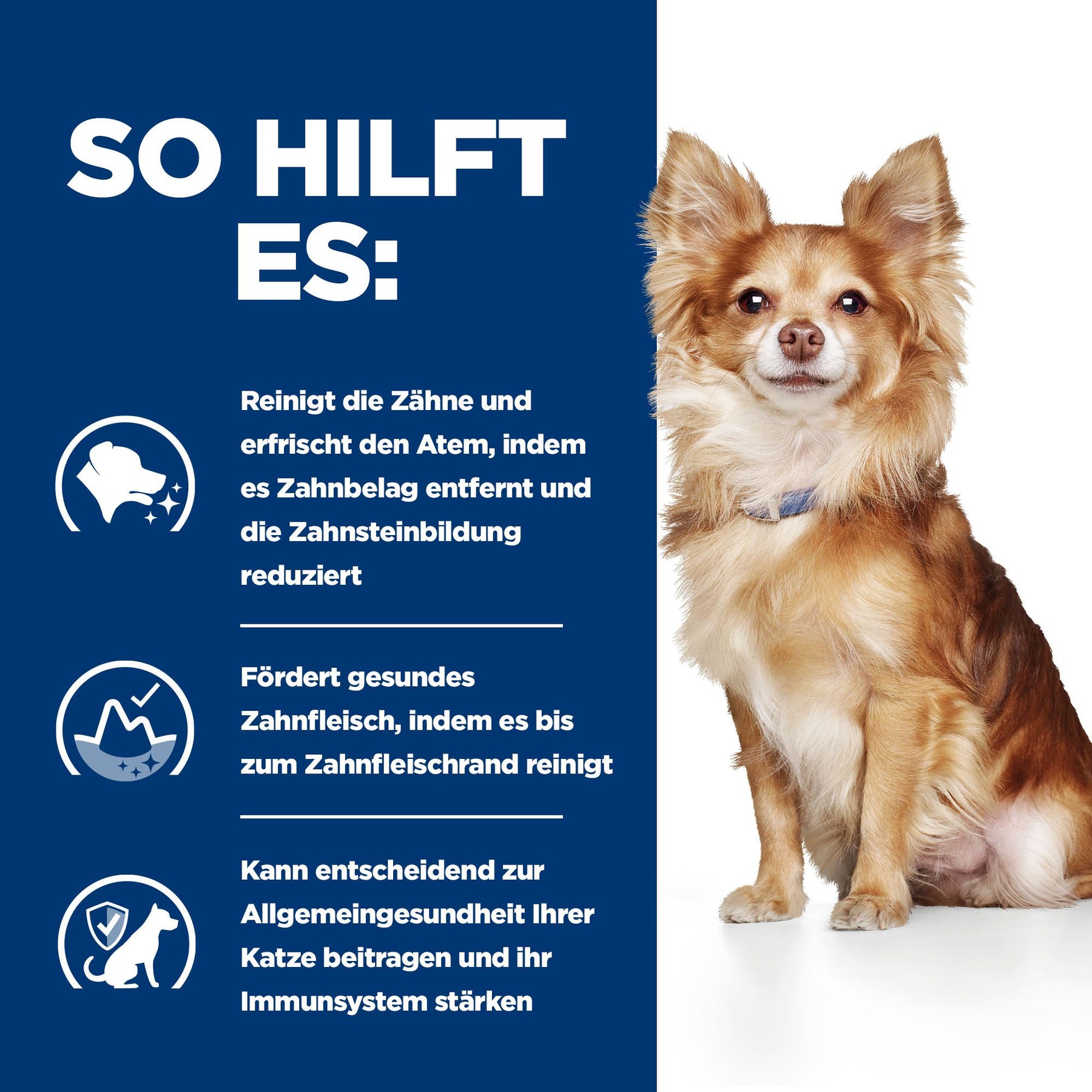 Hill's Prescription Diet t/d Mini Aliment pour Chien au Poulet