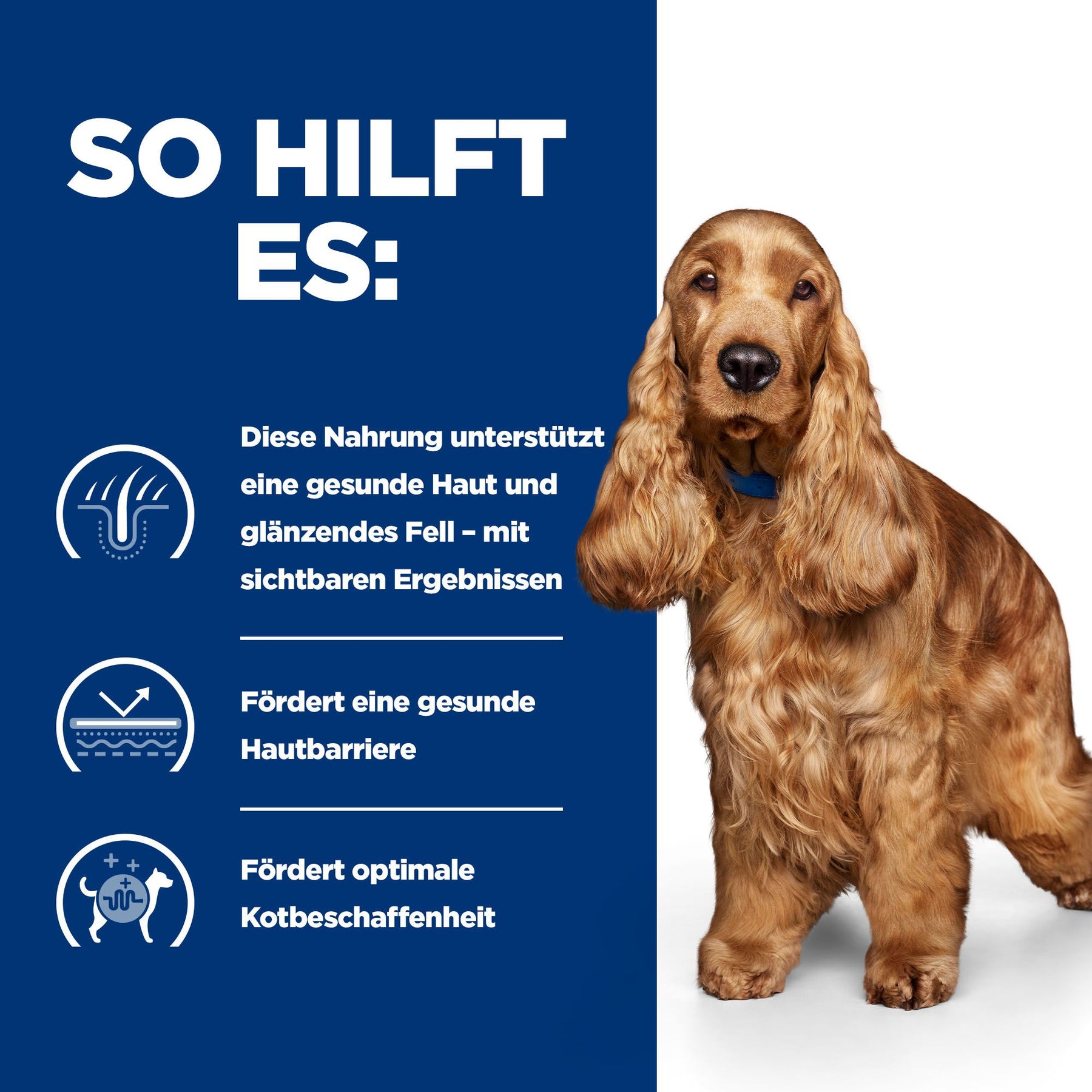 Hill's Prescription Diet z/d Aliment pour Chien
