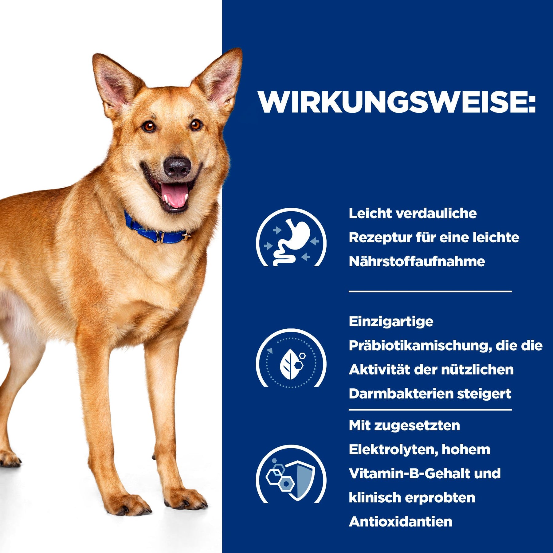 Hill's Prescription Diet i/d Digestive Care Pâtée pour Chien à la Dinde