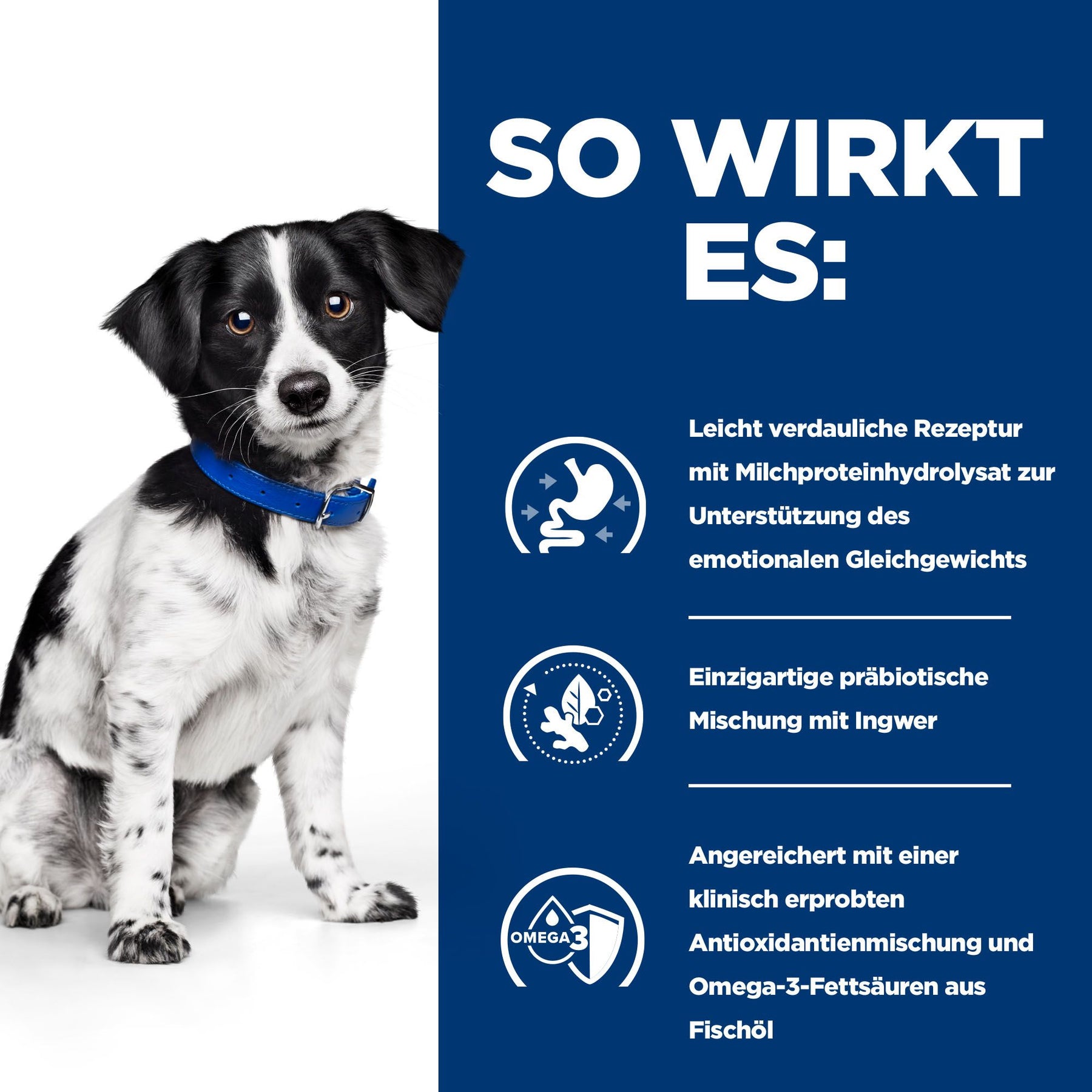 Hill's Prescription Diet i/d Stress Mini Mijotés pour Chien