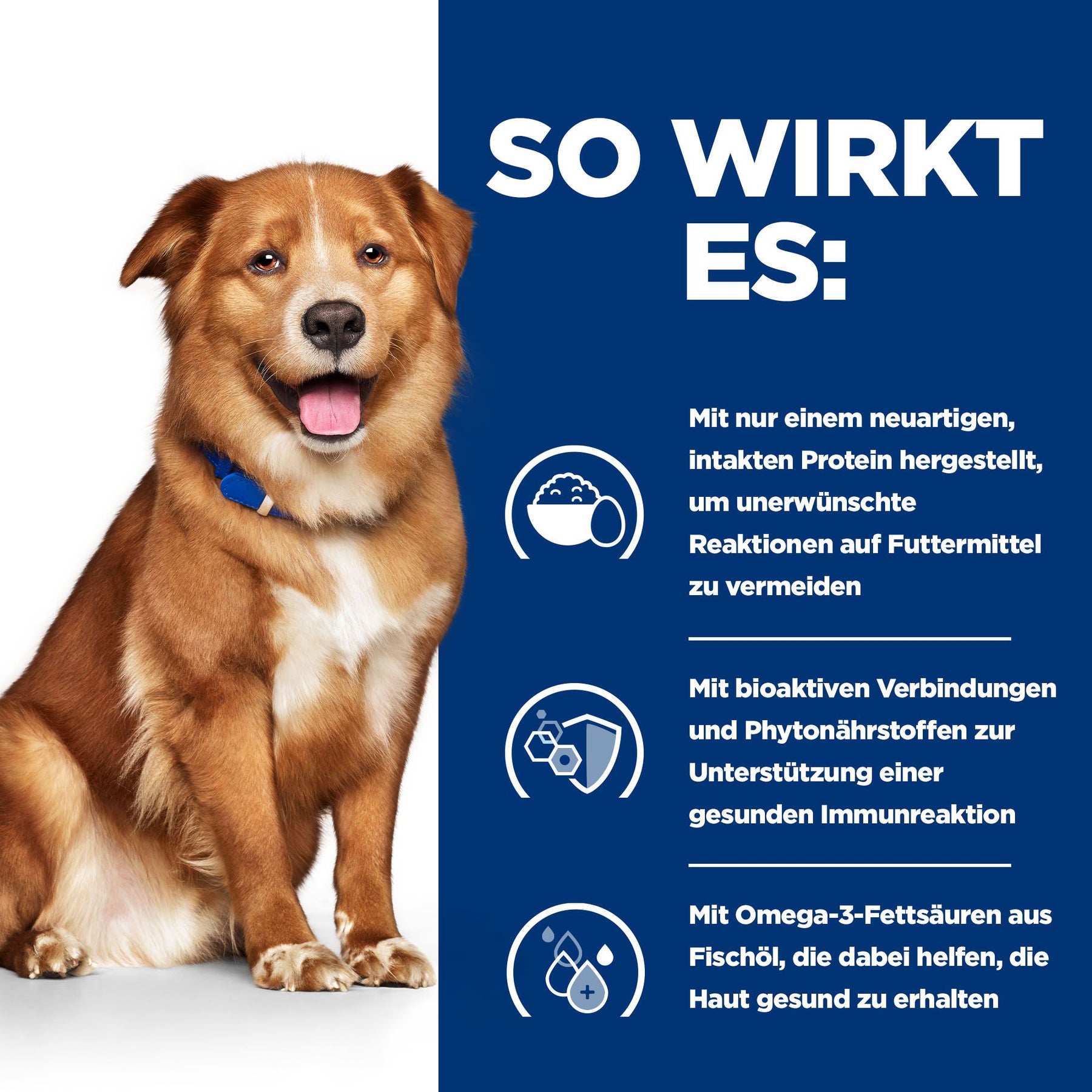 Derm Complete Nassfutter für Hunde How It Works