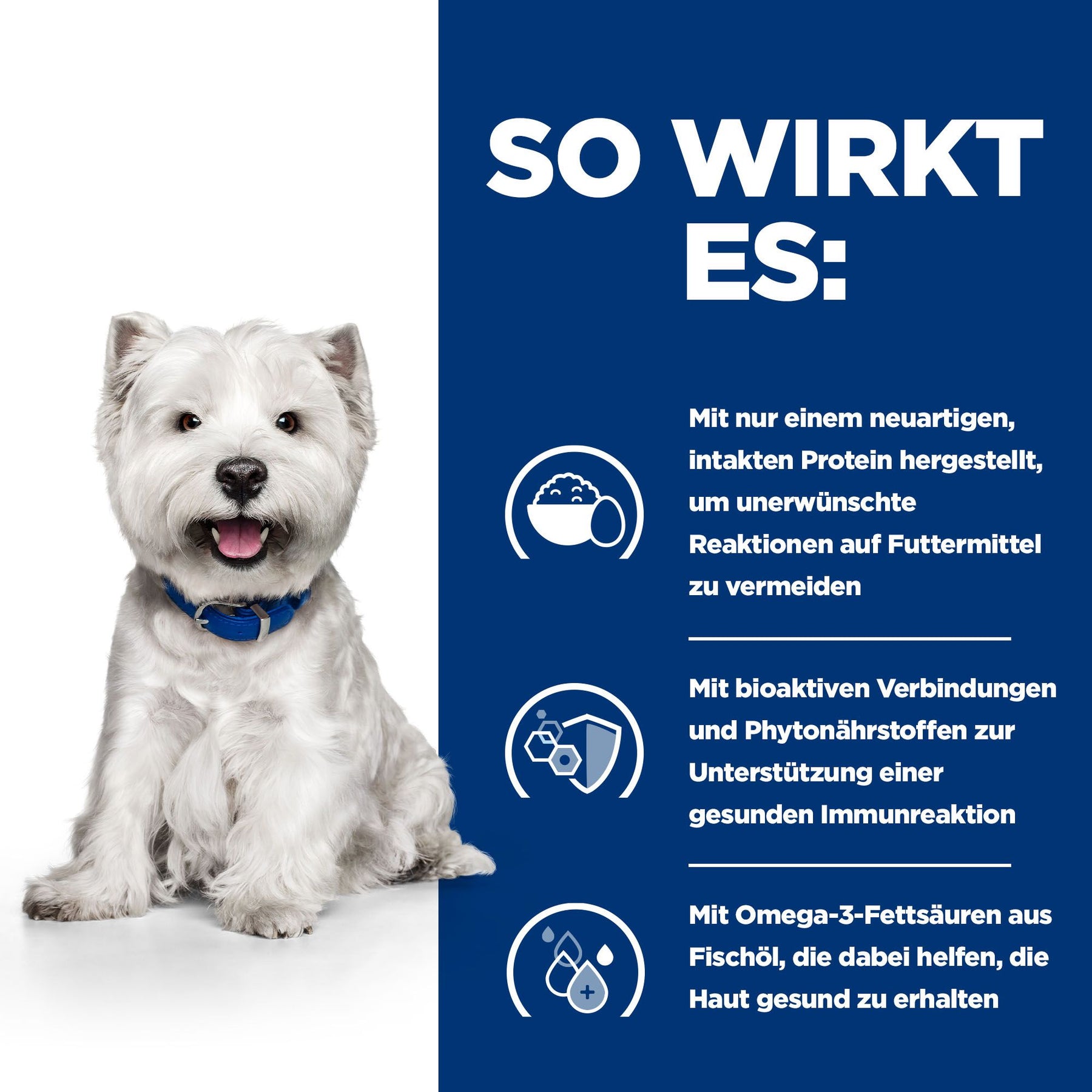 Hill's Prescription Diet Derm Complete Mini Hundefutter mit Ei