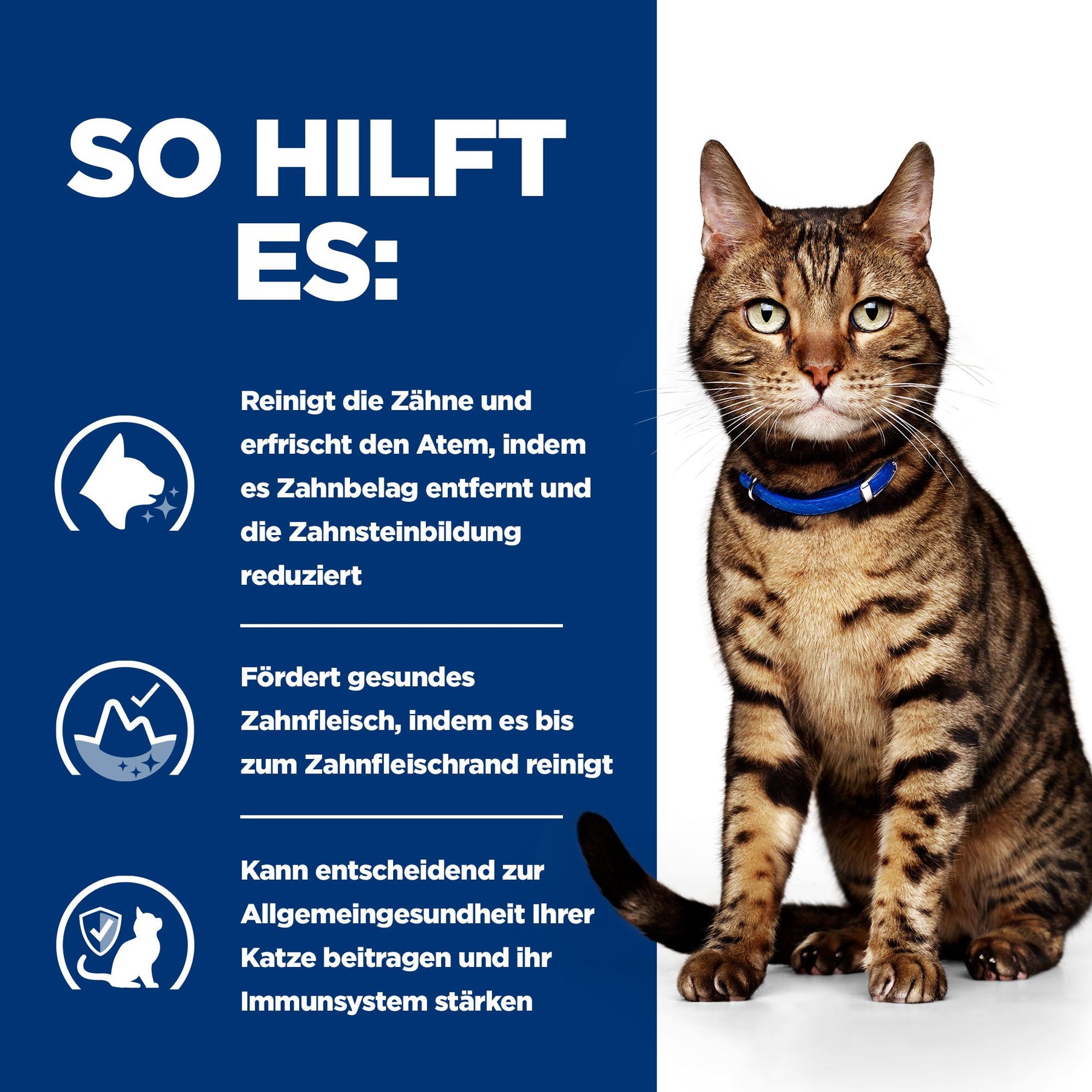 Hill's Prescription Diet t/d Aliment pour Chat