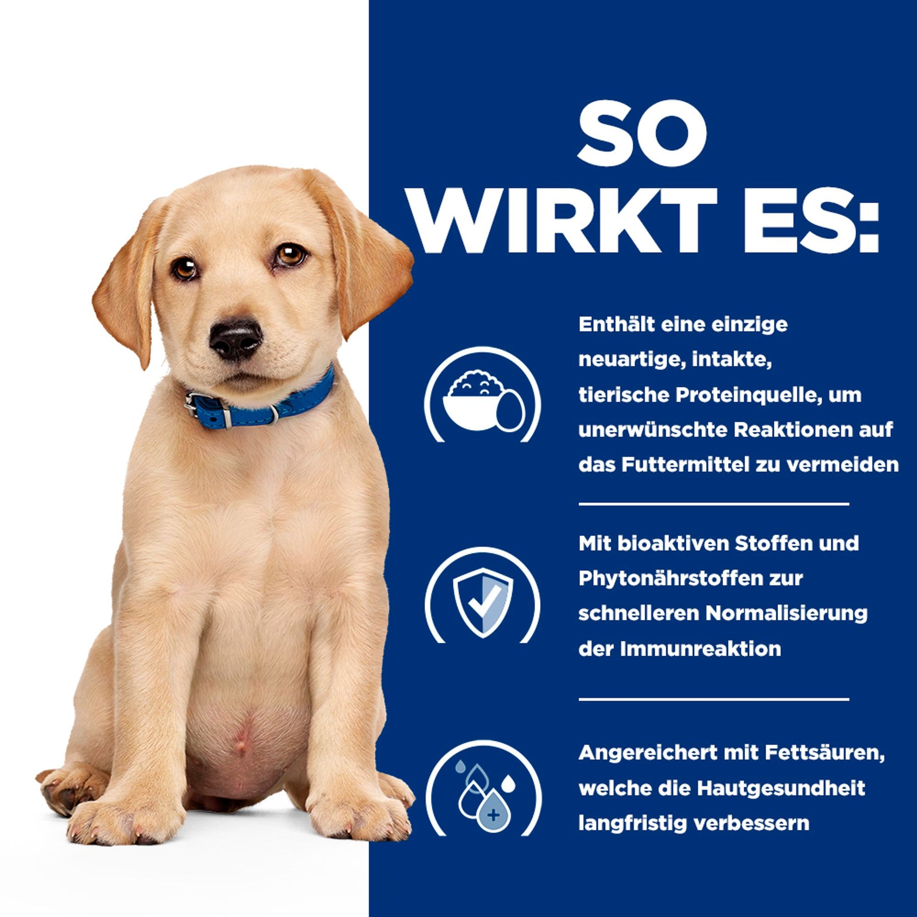 Hill's Prescription Diet Derm Complete Puppy Welpenfutter mit Ei