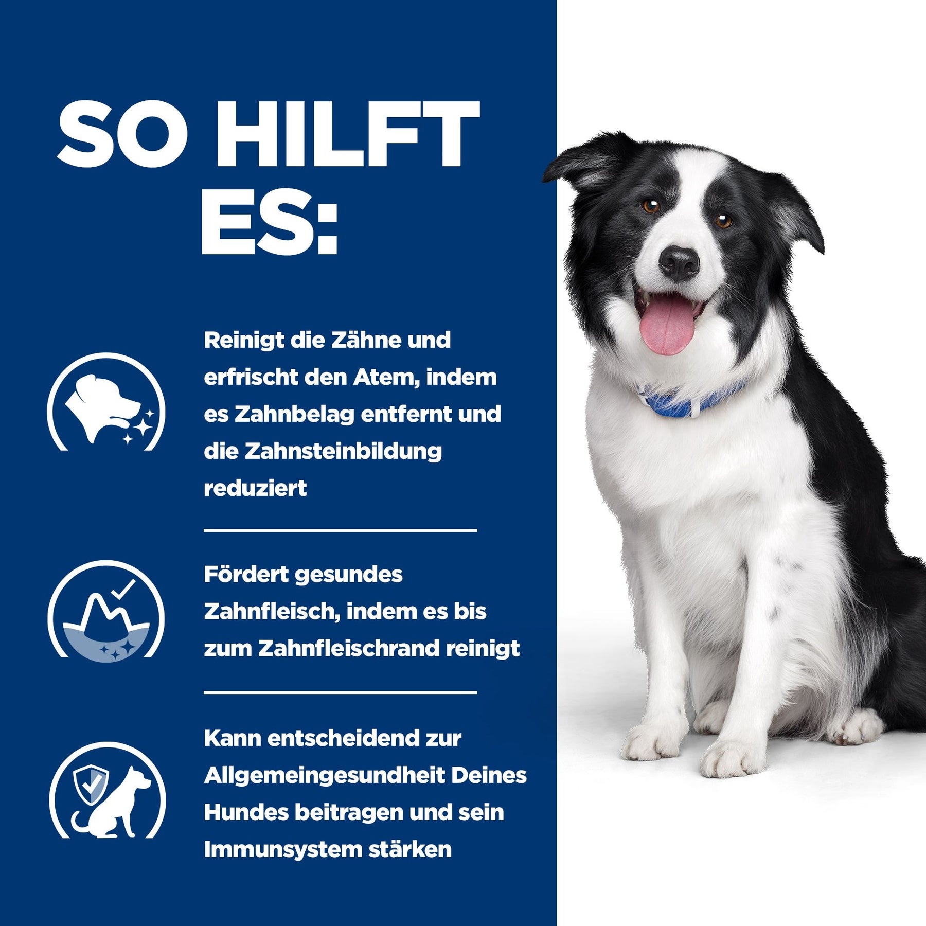 Hill's Prescription Diet t/d Hundefutter mit Huhn
