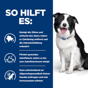 Hill's Prescription Diet t/d Hundefutter mit Huhn