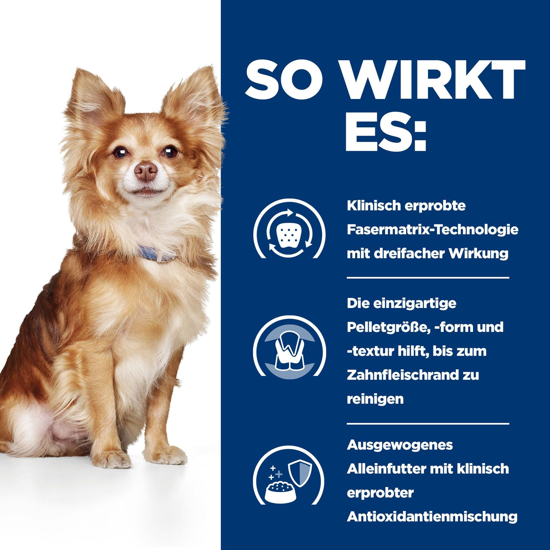 Hill's Prescription Diet t/d Mini Aliment pour Chien au Poulet