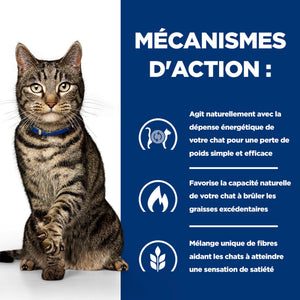 Metabolic Katzenfutter Wie es hilft