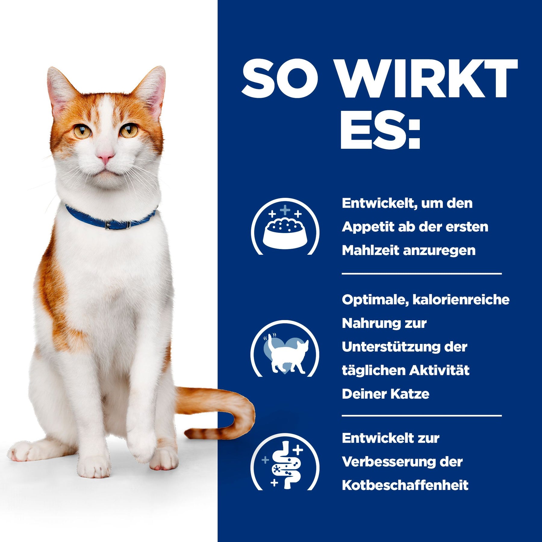 Hill's Prescription Diet ON-Care Aliment pour Chat
