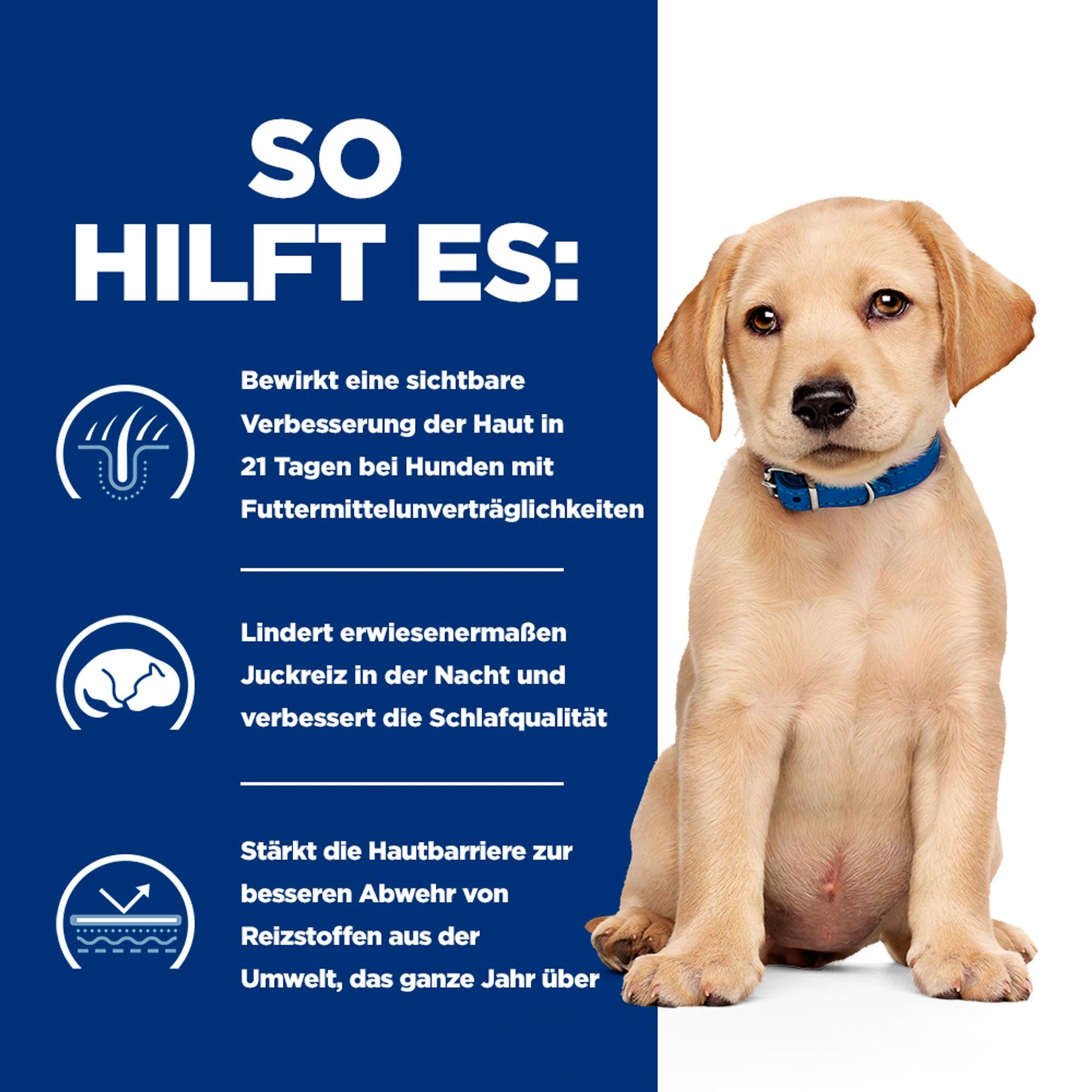 Hill's Prescription Diet Derm Complete Puppy Welpenfutter mit Ei